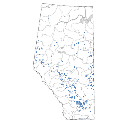 Map of Applications to the Board in January 2010