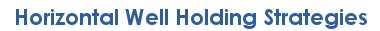 Horizontal Well Strategies Logo