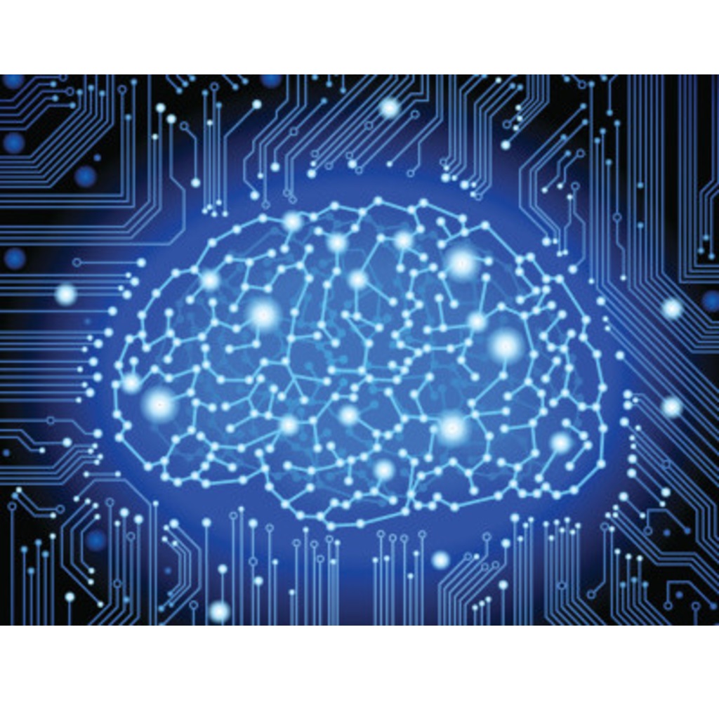 Brain connections